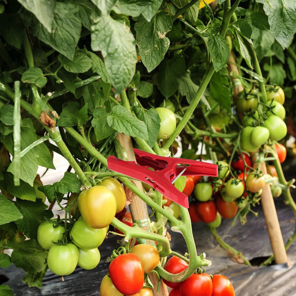 50Pcs Plant Support Clips Heavy Duty Reusable Plastic Vine Clamps for Tomato Cucumber Orchid Climbing Plants Garden Trellis