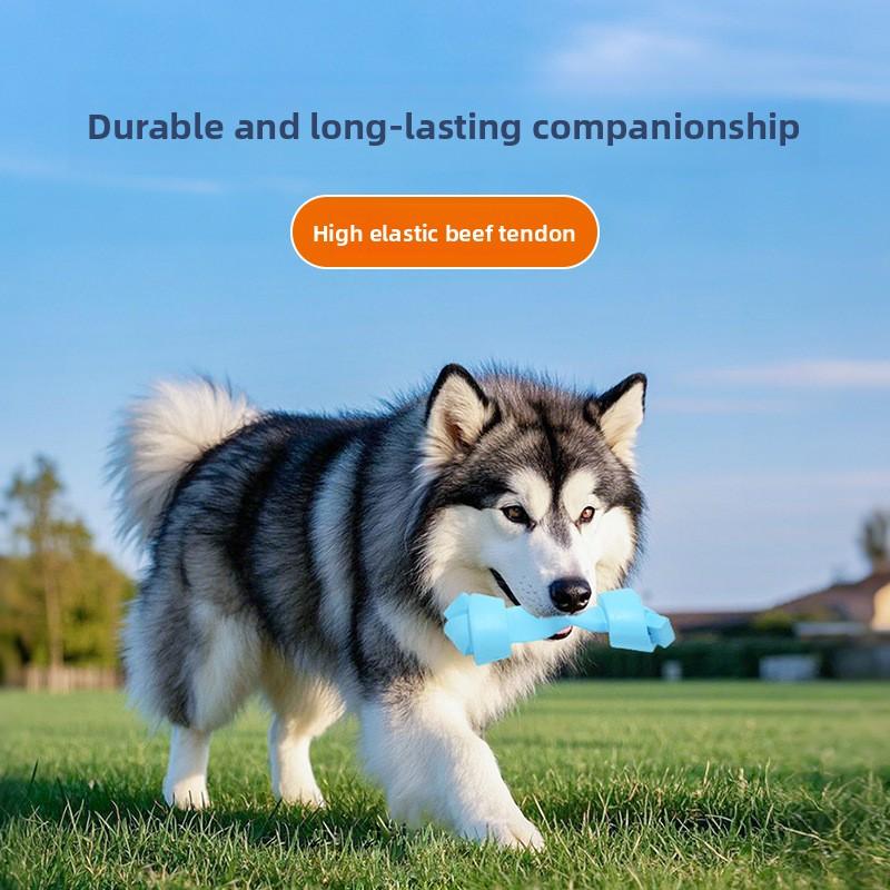 Dog Toys That Can't Be Chewed, Tooth-cleaning Dumbbells, Elastic Puppy Toys, Natural Rubber Pet Toys
