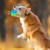Pet Toy - Two-color Bone Imprint C-shaped Ball Sound-producing Ball - Durable and Chewable Toy for Puppies - Small Dog Toy Ball