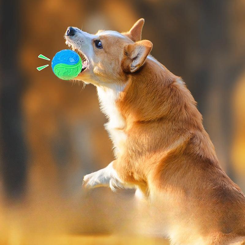 Pet Toy - Two-color Bone Imprint C-shaped Ball Sound-producing Ball - Durable and Chewable Toy for Puppies - Small Dog Toy Ball
