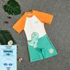2025 New Boys' One-Piece Swimsuit: Quick-Drying, Sun Protection for Toddlers to Big Kids