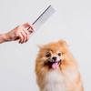Pet Comb Smooth Edges Pet Hair Care Stainless Steel Dog Cat Hair Straight Row Comb Pet Grooming Tool