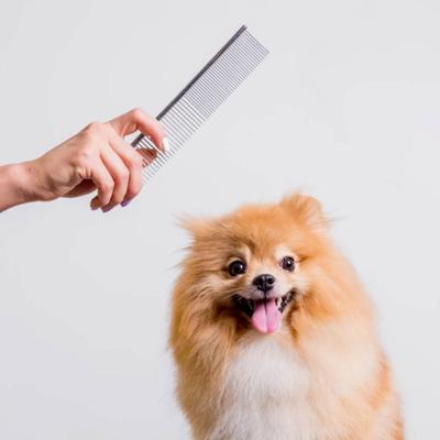 Hunde – Fellpflegeartikel für Hunde