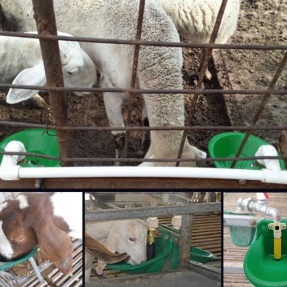 Plastic Livestock Drinker Float Control Water Trough Auto Drinker Sheep Waterer  Barn Equipment