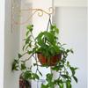 Iron Wall Hanging Bracket Art Plant Holder Hanger Hook Garden Decor
