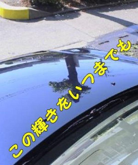 Automotive Body Glass Coating Agent Power GF Gold Label 30ml