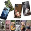 Schwein Wildschwein Wolf Handyhülle Case für Samsung Galaxy S25 S24 S22 S23 FE Ultra Plus A56 A05 A06 A15 A16 A55 S7 Edge Hülle