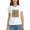 Women TShirt King Gizzard And The Lizard Wizard  OddUnisexts Short Sleeve Tees Round Neck Cotton T Shirts Clothes Tops Streetwear