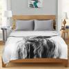 Highland Cow Blanket Animal Bedding Throw  Soft Cozy Fleece Plush  Size for Couch Bed Sofa Travelling Camping