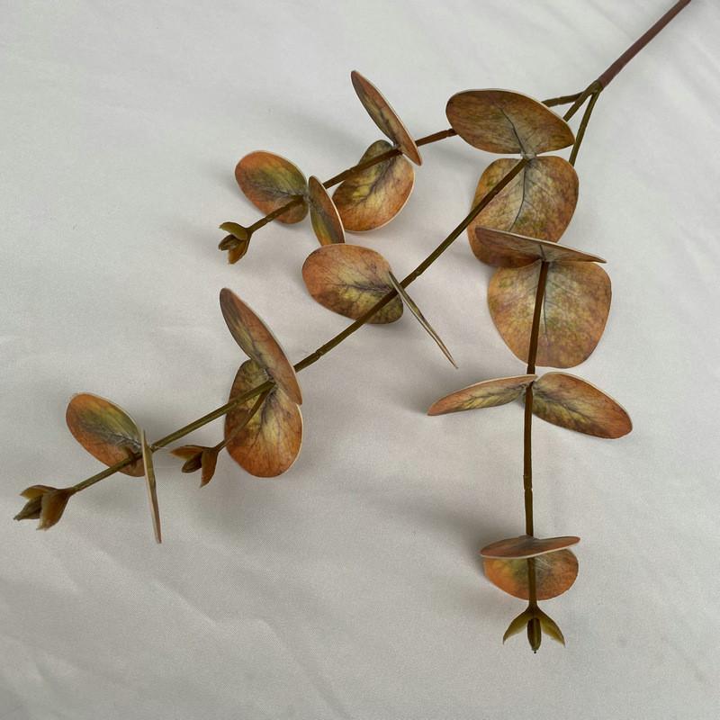 Peníze Eukalyptové Listy Stonky Pro Vnitřní Venkovní Svatba Dárek Dekorace