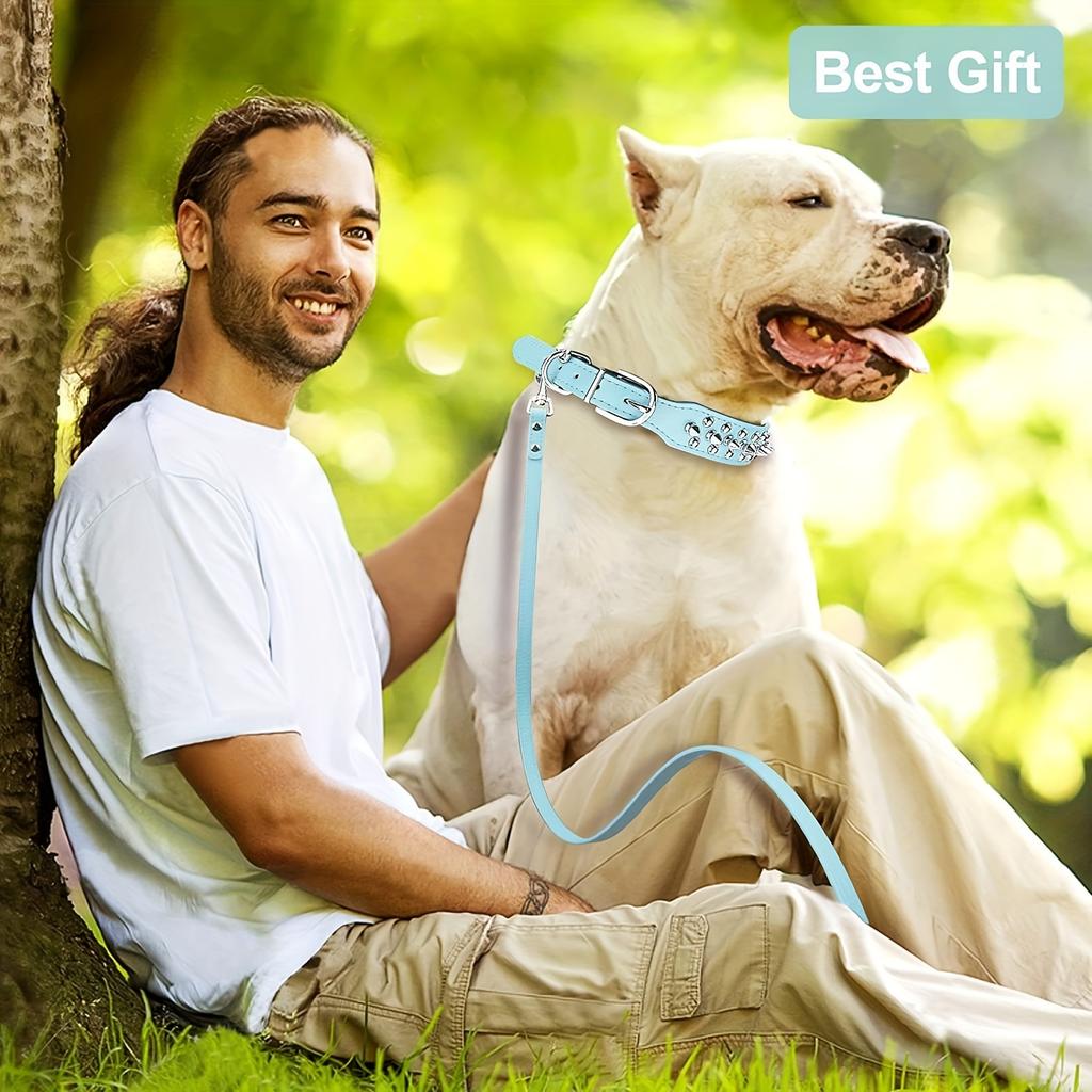 Hundehalsband Leder Stilvoll und Langlebig Leine Mittelgroß Geschirr Hunde Rucksack Halsbänder Geschirre Bekleidung Halsketten