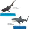Colorata Shark Family Figure 3D Encyclopedia (Sharks / 9 Types / with Explanation Booklet and Stand) Realistic Figure Box Toy Educational Toy Gift Pre