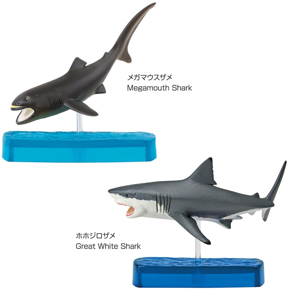 Colorata Shark Family Figure 3D Encyclopedia (Sharks / 9 Types / with Explanation Booklet and Stand) Realistic Figure Box Toy Educational Toy Gift Pre
