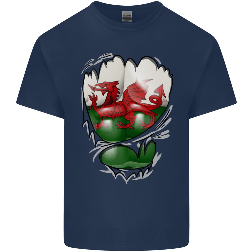 Gym The Welsh Flag Ripped Muscles Wales Unisexs Light Cotton TShirt