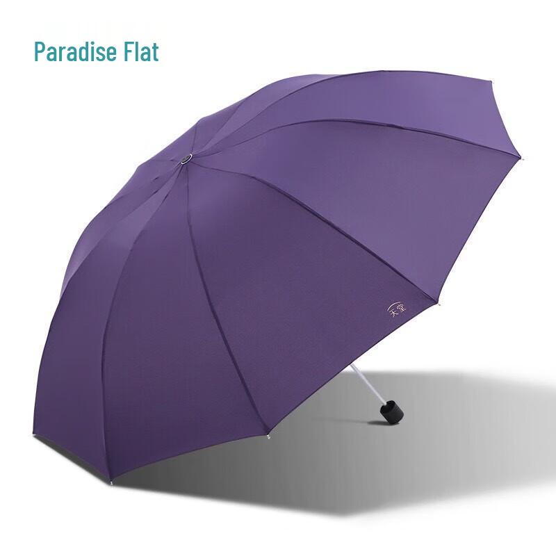 Tian Tang 10-Rib Large Reinforced Folding Business Umbrella