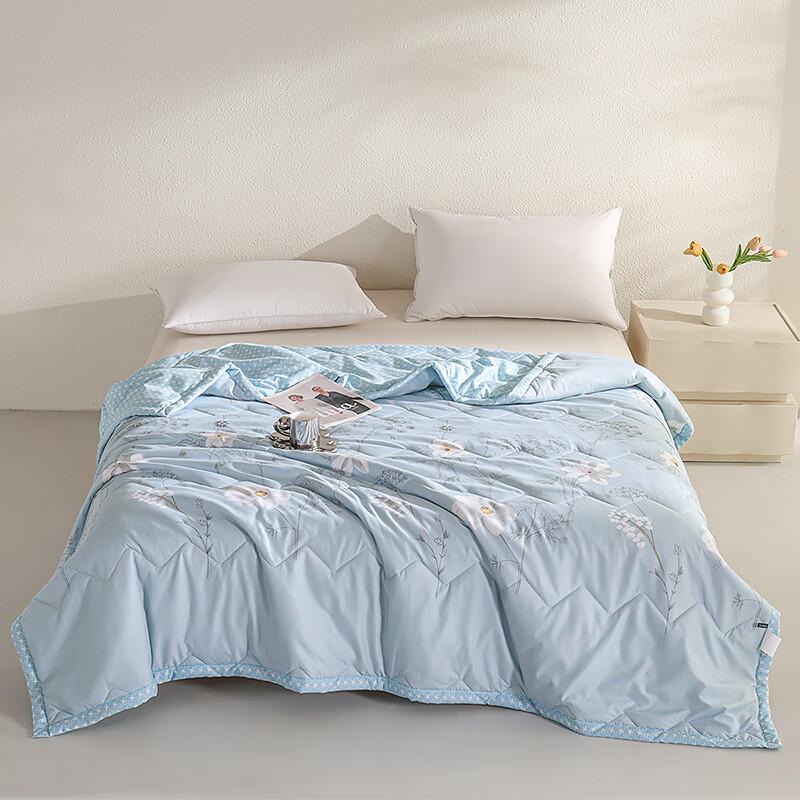 

Southern Living Brushed Printed Summer Quilt