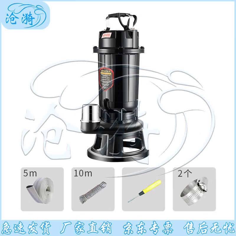 Cangyi Emergency Industrial Drainage Pump