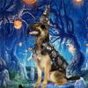 M-Modern-Halloween Cat Costume Pet  Cape And Hat Cool Outfit Pet  Cape Hat Cats Cosplay Clothes Apparel Halloween