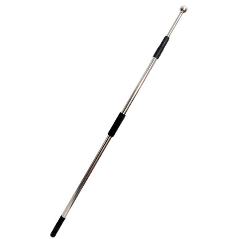 Homeglen Telescopic Stainless Steel Flagpole