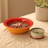 Ceramic Cat Feeding Bowl, Whisker Friendly Kitten Dish for Food & Water, Microwave Dishwasher Safe Wide Shallow Pet Plate for Dry Wet Food
