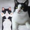 Funny Cat Hand Towels for Kitchen Bathroom - Cute Decoration Hanging Towels Super Absorbent Soft - Housewarming Birthday Mothers Day Gifts