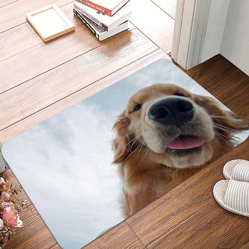 

Multi Pattern Non-Slip Waterproof Doormat Easy Clean Entrance Floor Mat Home Decor Durable Minimalism So Fashion and Beautiful 40x60cm