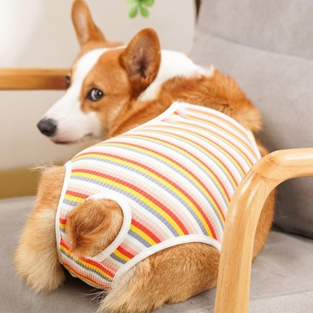 Adjustable Straps Pet Physiological Pants Breathable Dog Underwear Pet Safety Trousers Daily Wear