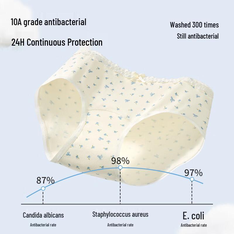 Regina Miracle Women's Class A Cotton Antibacterial Mid-Waist Briefs 4-Pack