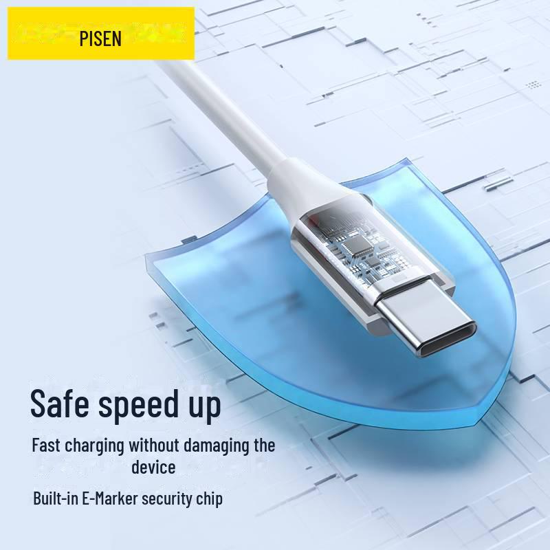 PISEN Dual-Head Type-C Charging Cable for iPhone 15 Pro Max & iPad Pro