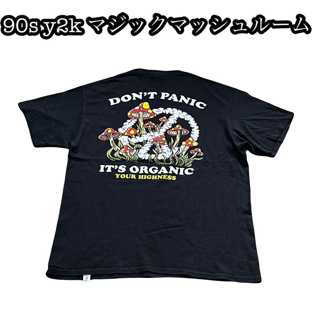 

[USED] Rare MUSE raglan tee with heavy print, long sleeves, from the UK.