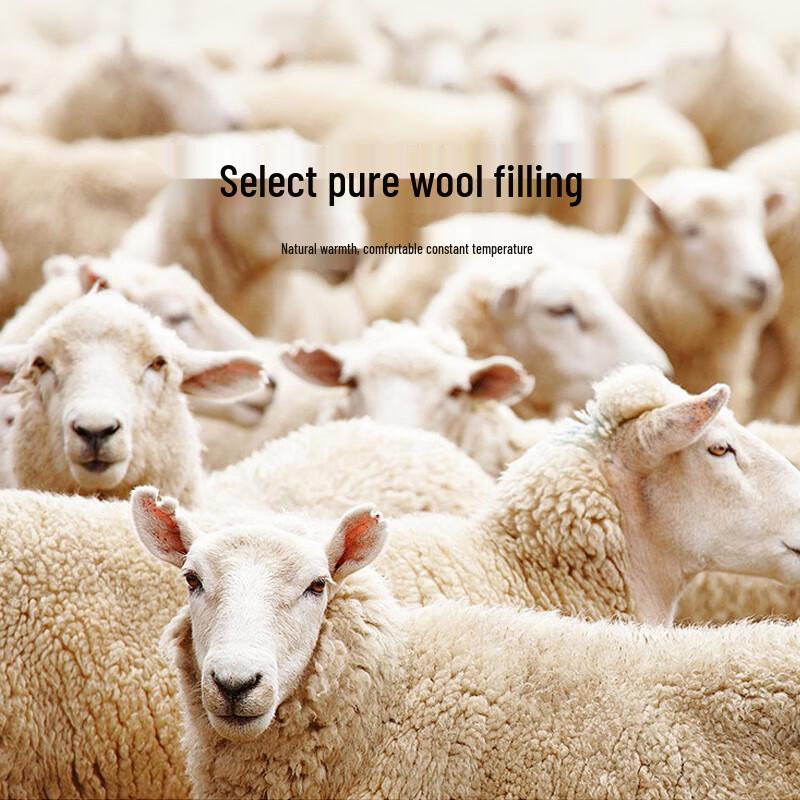 Muxinzi Premium 100% Wool Duvet