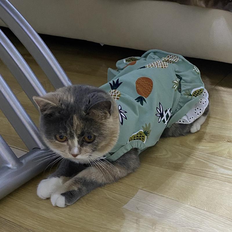 Summer Cotton Cat Dress Skirt Cute Pineapple Cherry Print Pet Clothes Dresses for Cats Sphynx Dog kedi elbisesi ropa para gatos