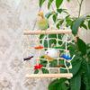 1 Stück Papageien Futter- & Kletternetz, Kaubares Vogelspielzeug mit Schaukel für geistige Stimulation, Langeweilevertreibung, Käfigaktivität