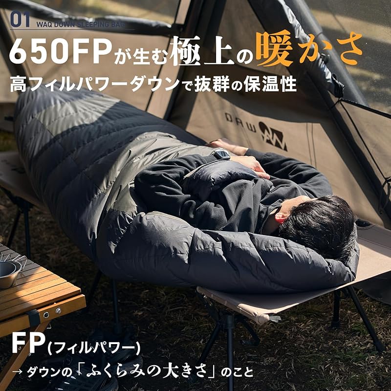WAQ Down Sleeping Bag, Mummy Style, -30°C Temperature Rating, FP650, Lightweight, Compact, for Outdoor Activities, Camping, Hiking, Car Camping, and