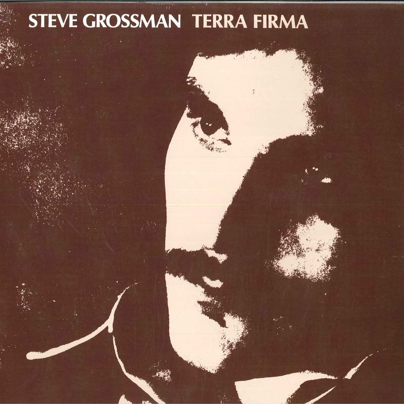 

LP Record STEVE GROSSMAN - Terra Firma PMR012 PM US Jazz