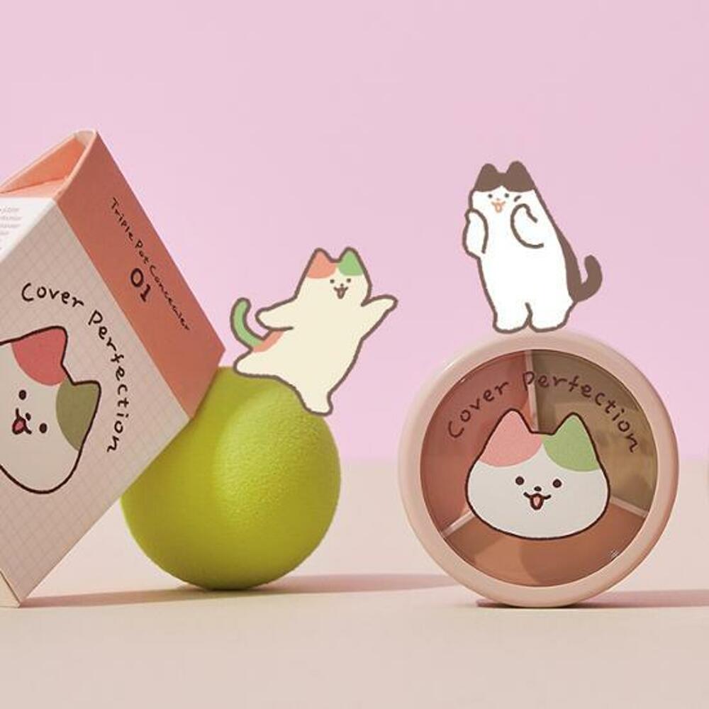 The Saem Korektor Cover Perfection Tripe Pot 4 kolory (Zestaw specjalny/singiel)