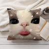 Cute Cat Dog Kawaii Gift Cushion Cover Silky Short Plush Invisible Zipper Dustproof Sofa Pillow Case For Home Decor