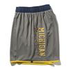 Spalding Practice Pants, Michigan Wolverines Classic Logo, Stone, Size M (SMP25029M)