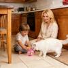 Interaktives Plüschtier Automatischer rollender Ball Hamster Realistisches elektrisches Haustier für Katze Hund Kaninchen Kind Mädchen Junge Haus Spielzimmer