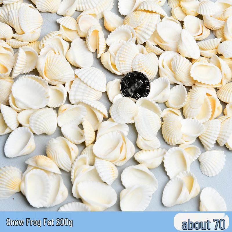 Набор фоторамка и музыка ветра из ракушек и морских звезд ручной работы, декор в бутылке дрифт