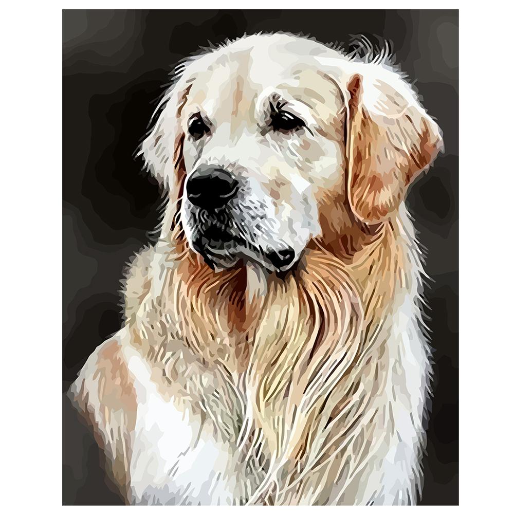 

Oil Paint By Numbers DIY For Adults Kids Beginner Decoration Gift 40CMX50CM Dog Framless