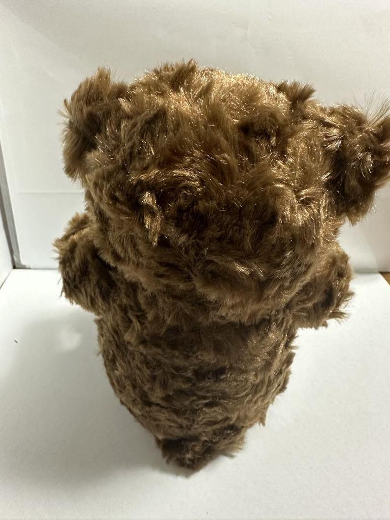 [USED] Teddy Bear