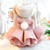 Pet Autumn Winter Outfit Thick Cat Princess Skirt Woolen and Tutu Skirt Small Dog Teddy Bear Pet Coat Dog Dresses Small Dogs
