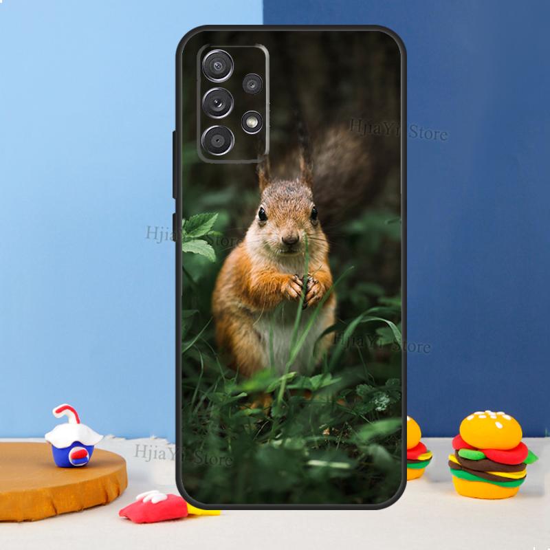 Squirrel Case For Samsung A54 A34 A14 A13 A23 A33 A53 A73 A51 A71 A72 A12 A22 A32 A42 A52 Back Cover