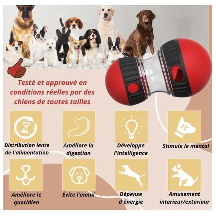 Jouet interactif pour Chien Distributeur de croquettes,Balle Interactive Chien,Jouet Intelligent,Jouet Chien Indestructible,Jou YYV
