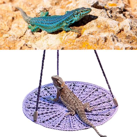 Reptile Hammock Hand Woven Strong Load-bearing Gecko Lizard Swing Toy Round Bearded Dragon Swing Hanging Bed