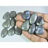 439Cts. Natural Marcasite Mix Shape Cabochon Loose Gemstone 16Pcs Lot C-324