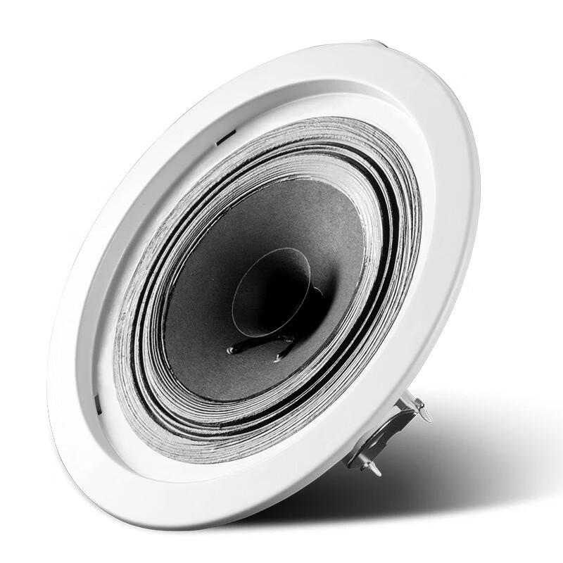 HiVi JS105 5-inch Commercial Ceiling Speaker CN Plug (adapter Included)