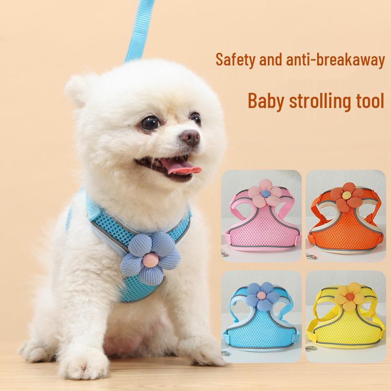 Small Dog Harness and Leash Set - Vest-Style for Teddy, Bichon, and Other Small Breeds