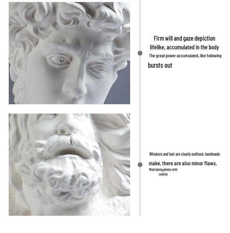 David Head Bust: Plaster Sculpture for Art Students & Teaching Aids
